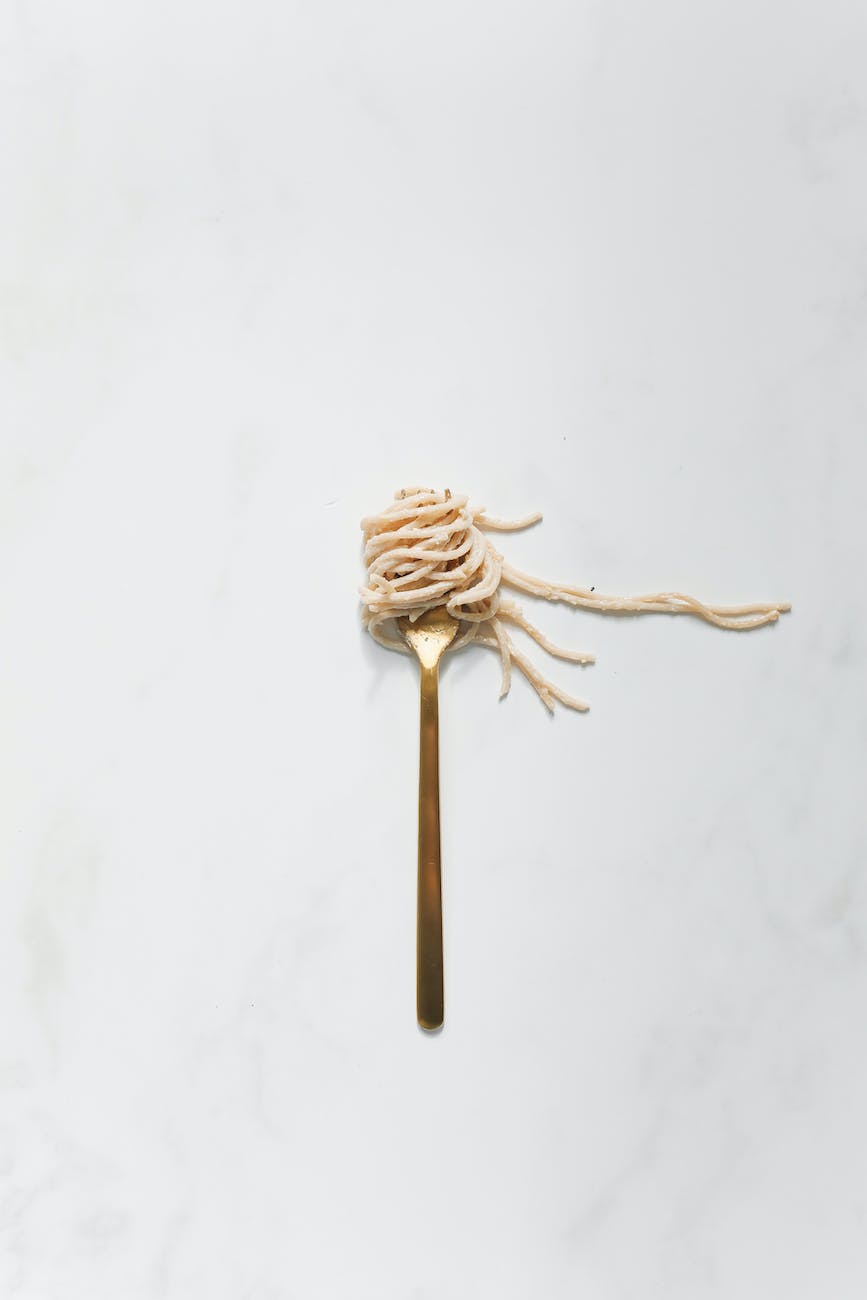 spaghetti noodles on a fork